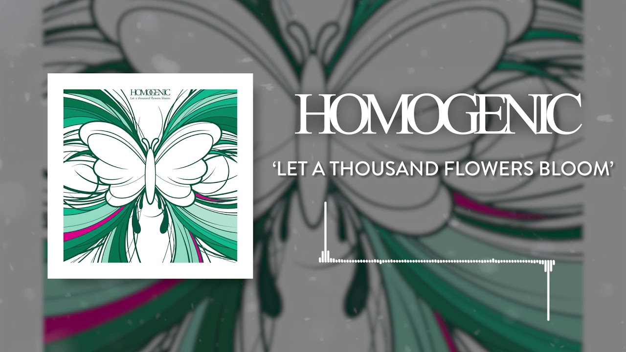 Homogenic - Am I (Official Audio)