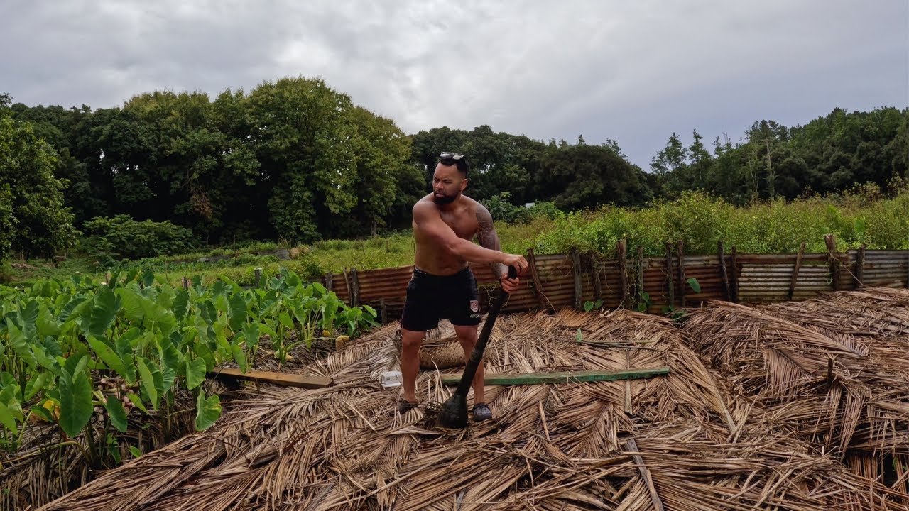 Working in the Taro Patch in Mauke, Cook Islands | Real Island Farming Vlog