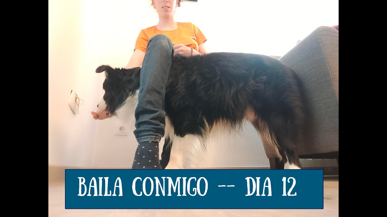 Baila con tu perro DÍA 12