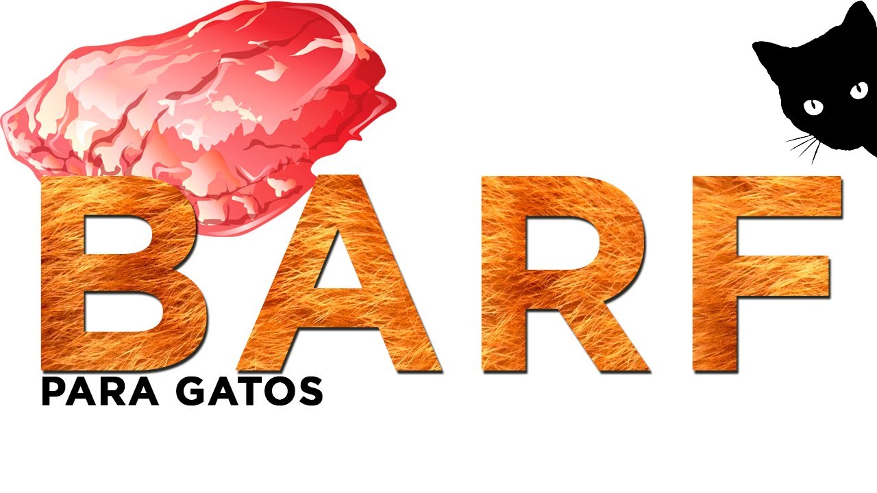 DIETA BARF PARA GATOS