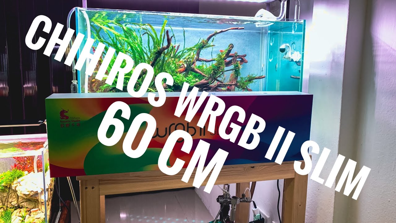 รีวิว ไฟไม้น้ำ Chihiros WRGB II Slim 60 cm