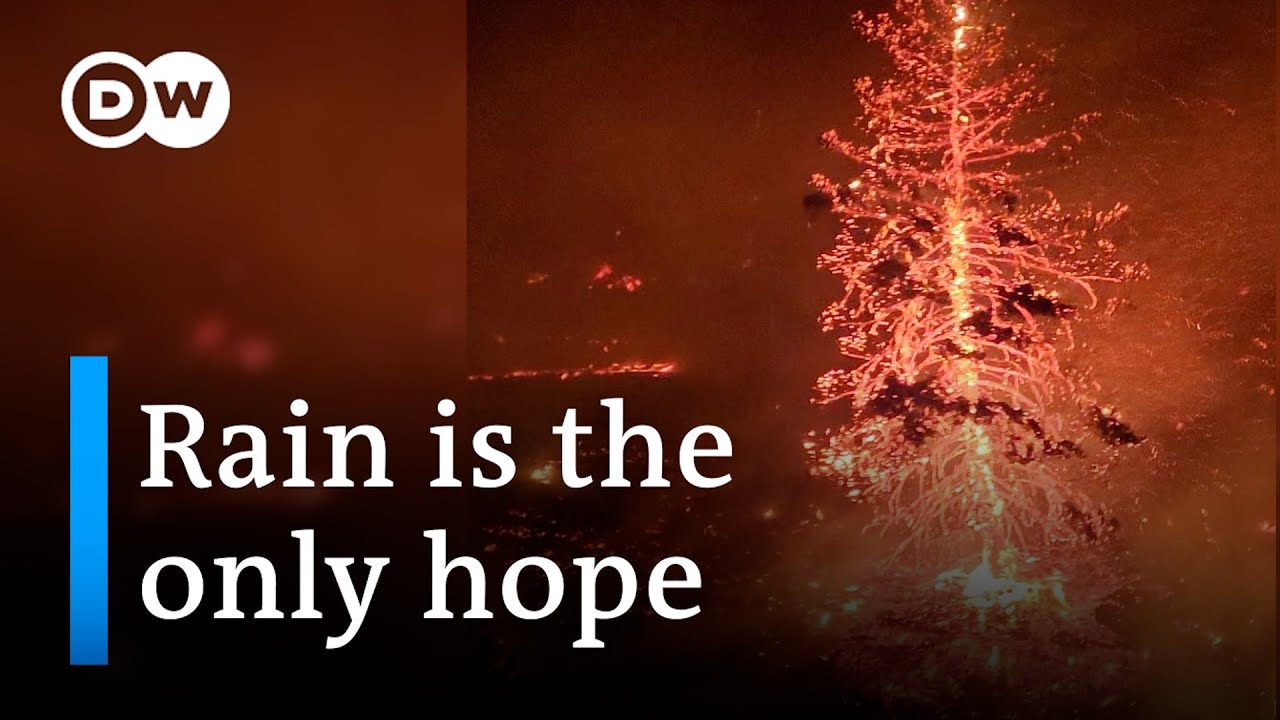 Canada: Wildfires have already destroyed an area larger than Ireland | DW News