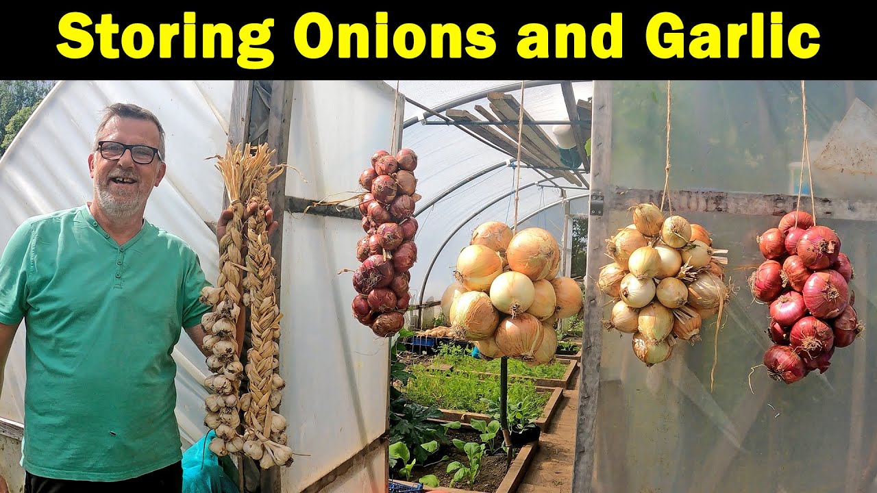 Storing Garlic and Onions | Plaiting Garlic | String Onions | How to Store | Green Side Up
