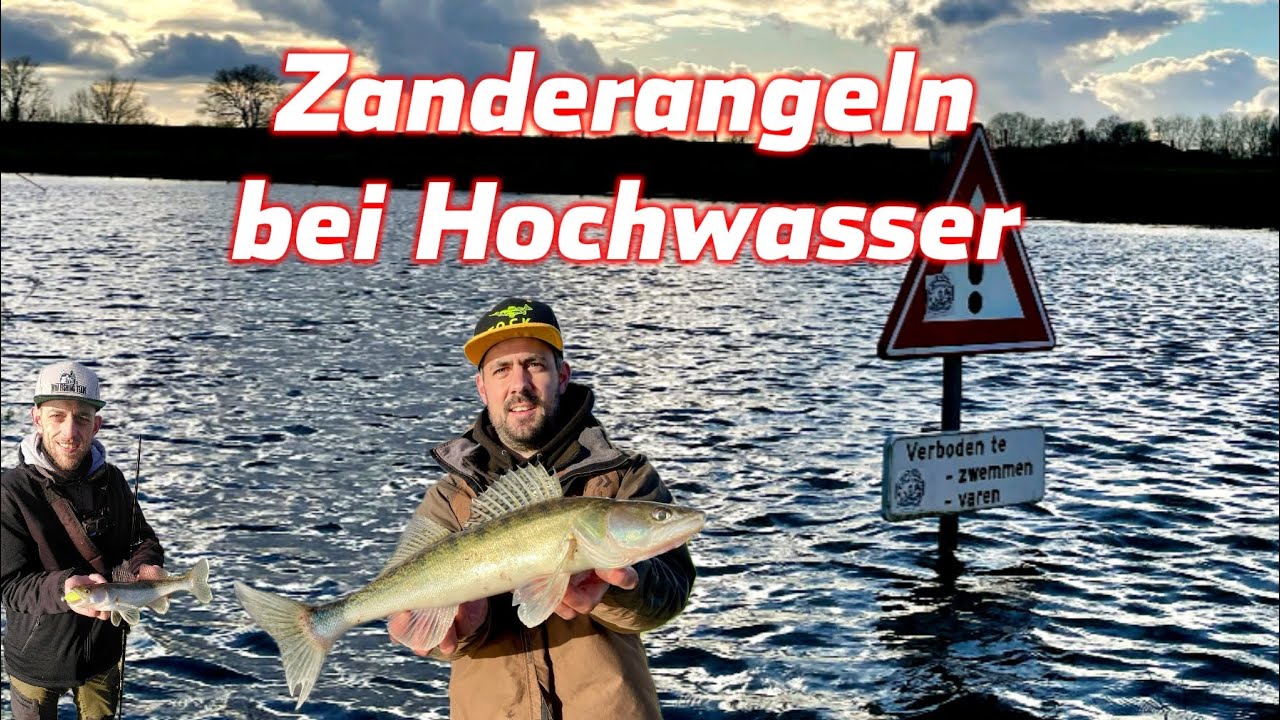Zanderangeln in Holland bei Hochwasser #angeln #zanderangeln #wwfishingteam #zander
