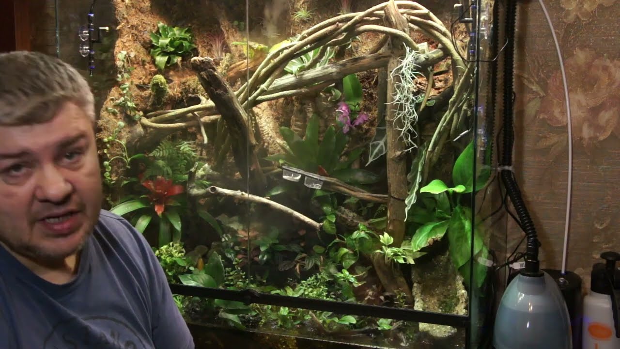 Постскриптум к созданию полюдариума на базе террариума от repti zoo