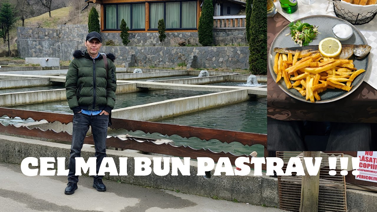Păstrăvăria Rin Romuli Bistrița Năsăud | Păstrăv la grătar și peisaj de munte spectaculos