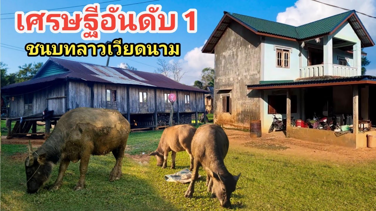 ถึงจะอยู่ในขุนเขาก็ยังมีเศรษฐีในชนบท