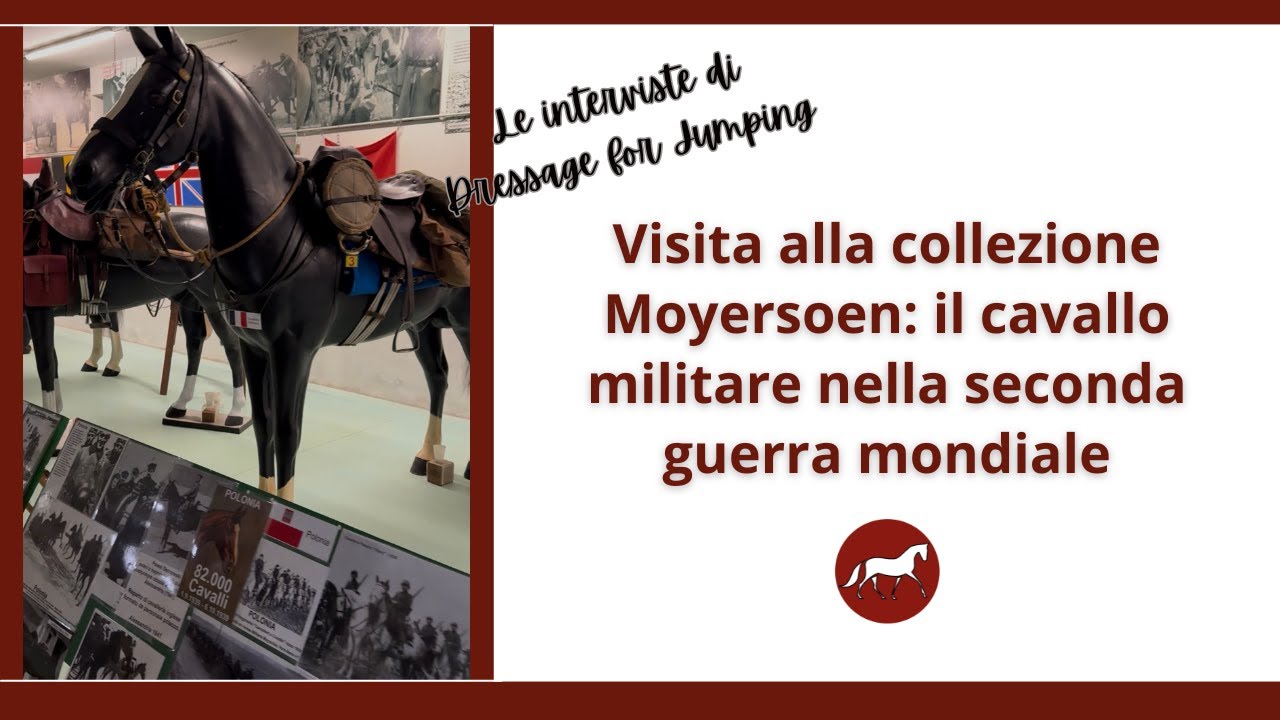 Collezione Moyersoen cavallo militare 1939/1945 
