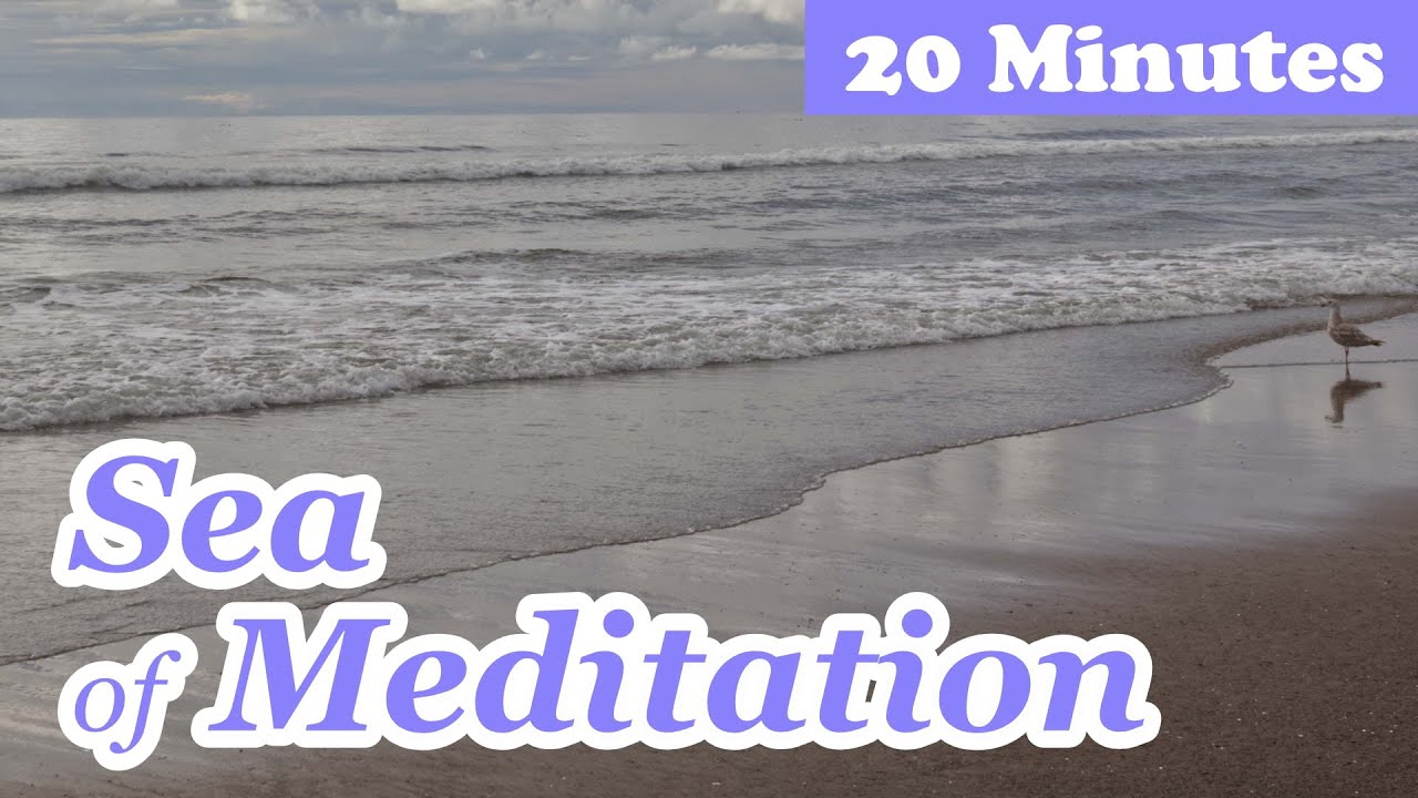 Sea of Meditation ~ 20-Minute Guided Meditation ~ Relax Your Mind and Float Across Time