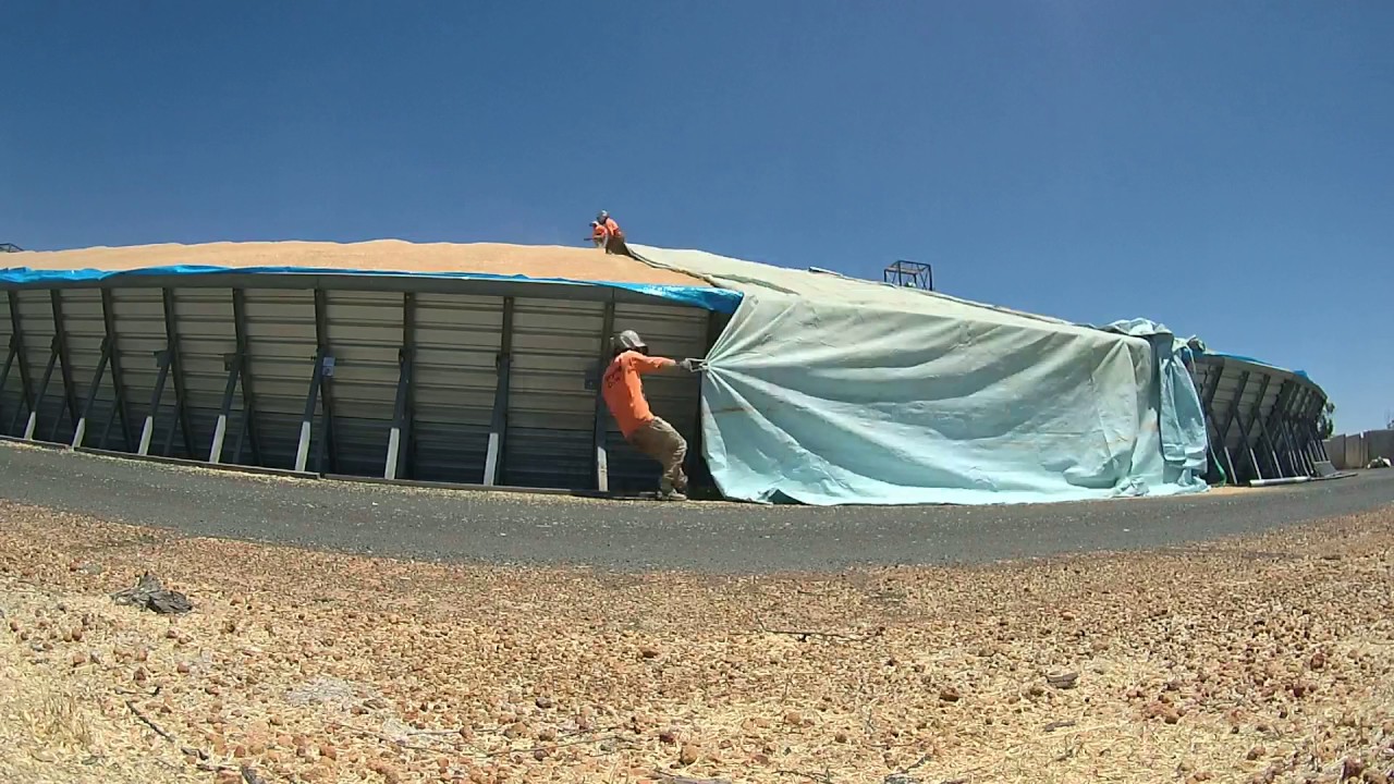 Tarping in Wyalkatchem