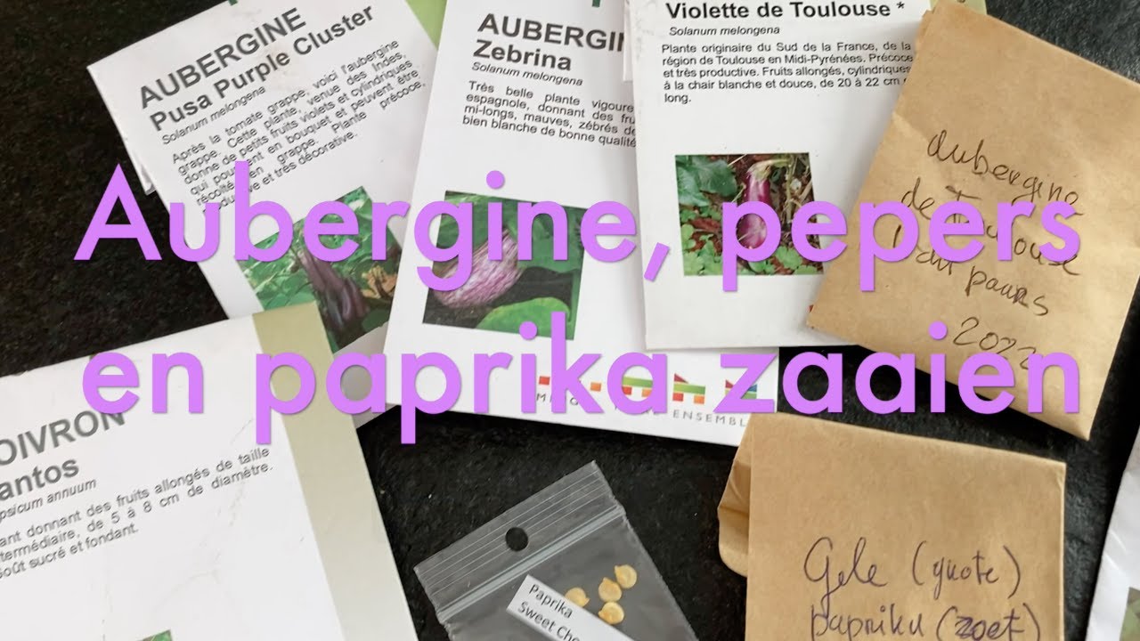 Ini's Moestuin #126 - Eind januari: zaaien aubergine, paprika en pepers