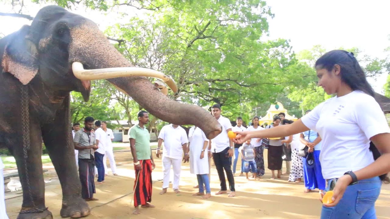 වාසනාට වාසනා හමුවීම..|Kataragama wasana