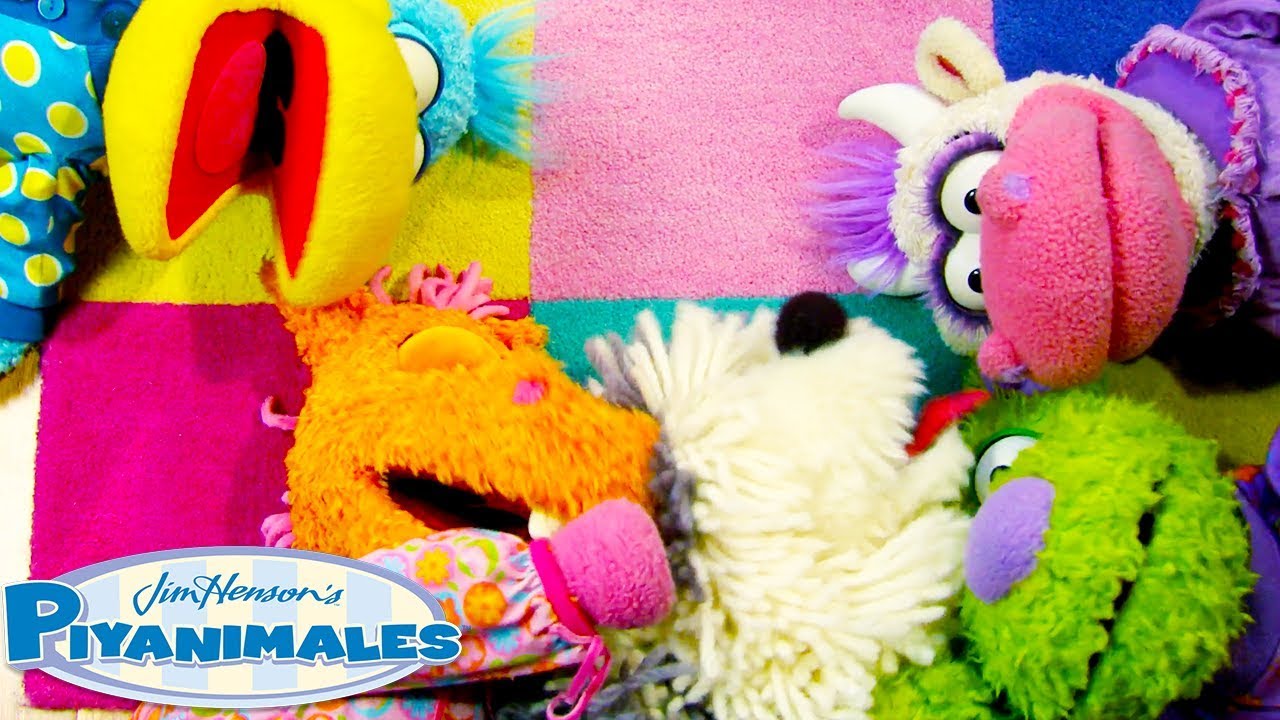 &iexcl;Vamos a conocer otros Animales! | Piyanimales