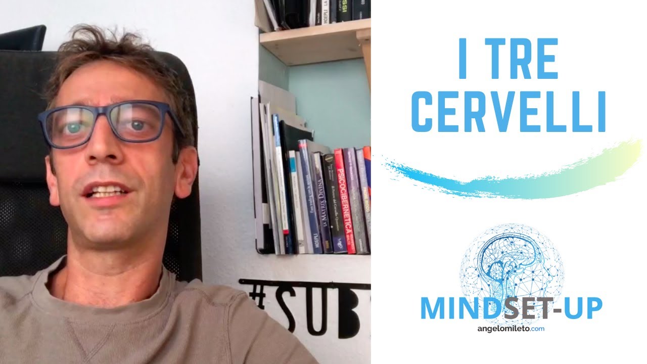 Mindset Finanziario: I tre cervelli (Lez.2)