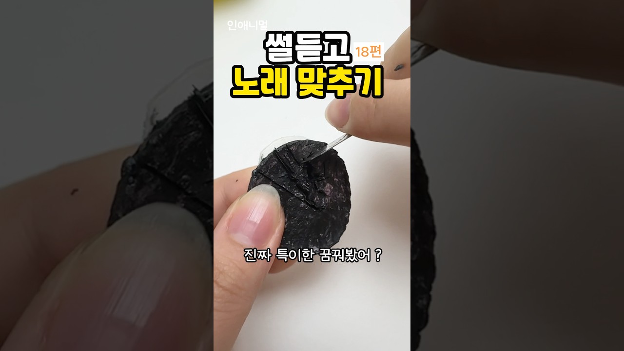 꿈에서 날 구해준 남자 현실에세 만날 확률..? #썰