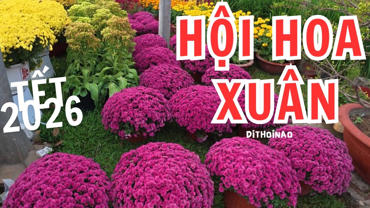 Khám Phá Hội Hoa Xuân 2026 Đồng Nai – Không Gian Tết Ngập Tràn Sắc Xuân | Đi Thôi Nào