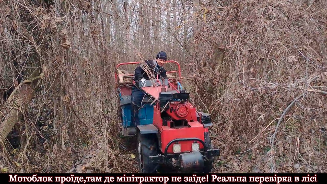 Мотоблок проїде там де мінітрактор не заїде! Реальна перевірка в лісі