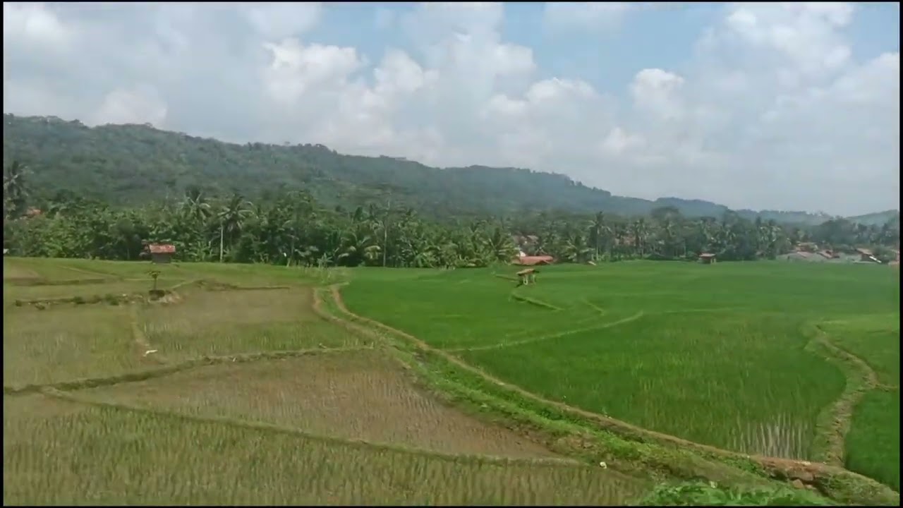 Cinta Jangan Dibeli - To Dieng 04 Agustus 2024