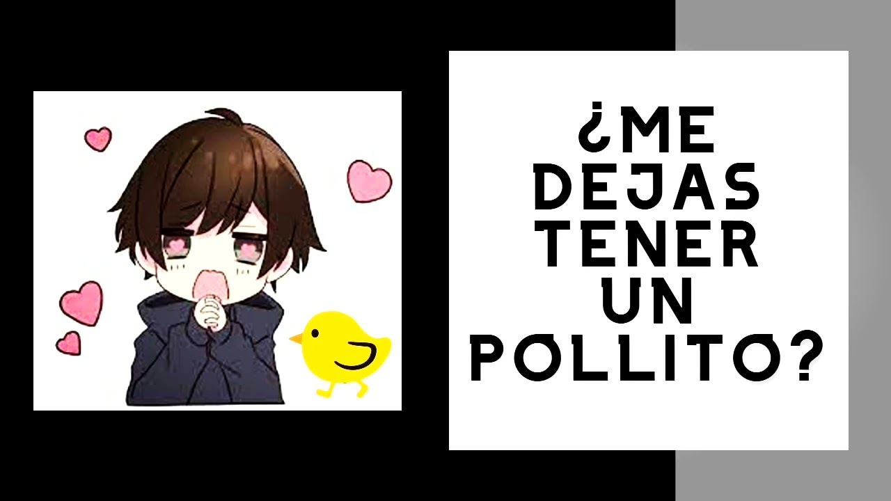 ASMR Tu novio quiere un pollito