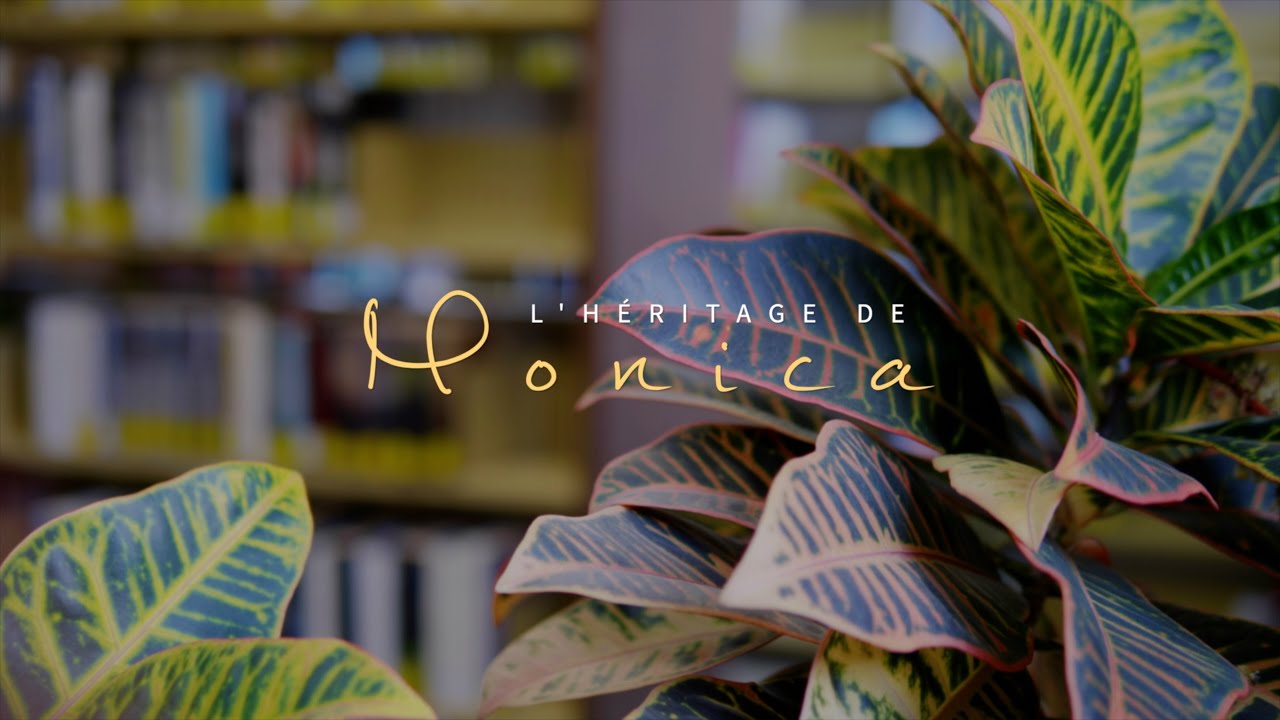 L'héritage de Monica