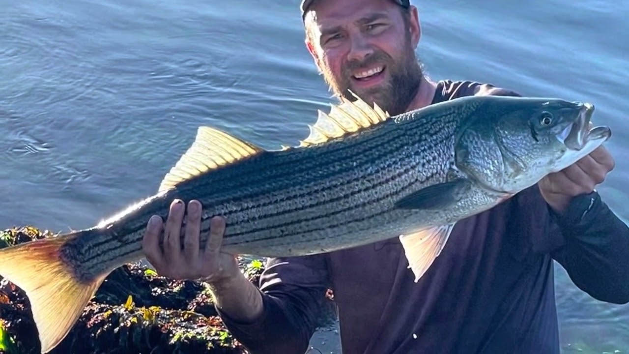 Memorial Day weekend Striper Fishing on the Cape Cod Canal