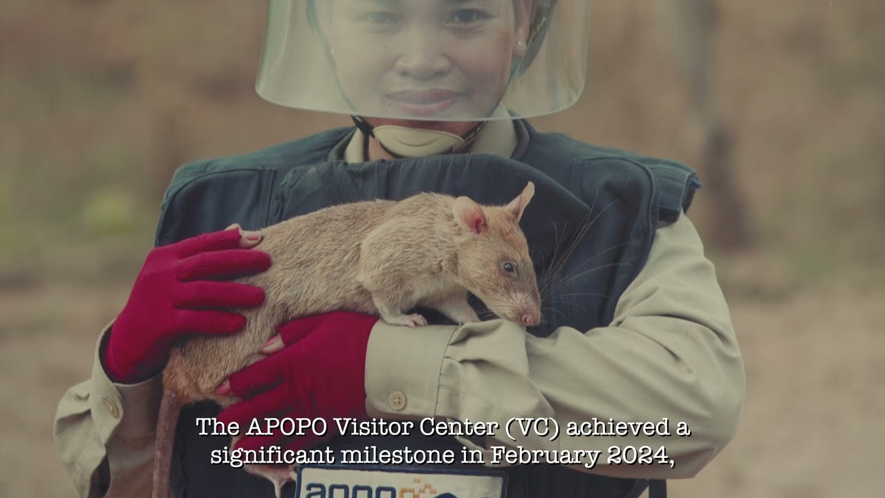 APOPO Celebrates 10 years in Cambodia