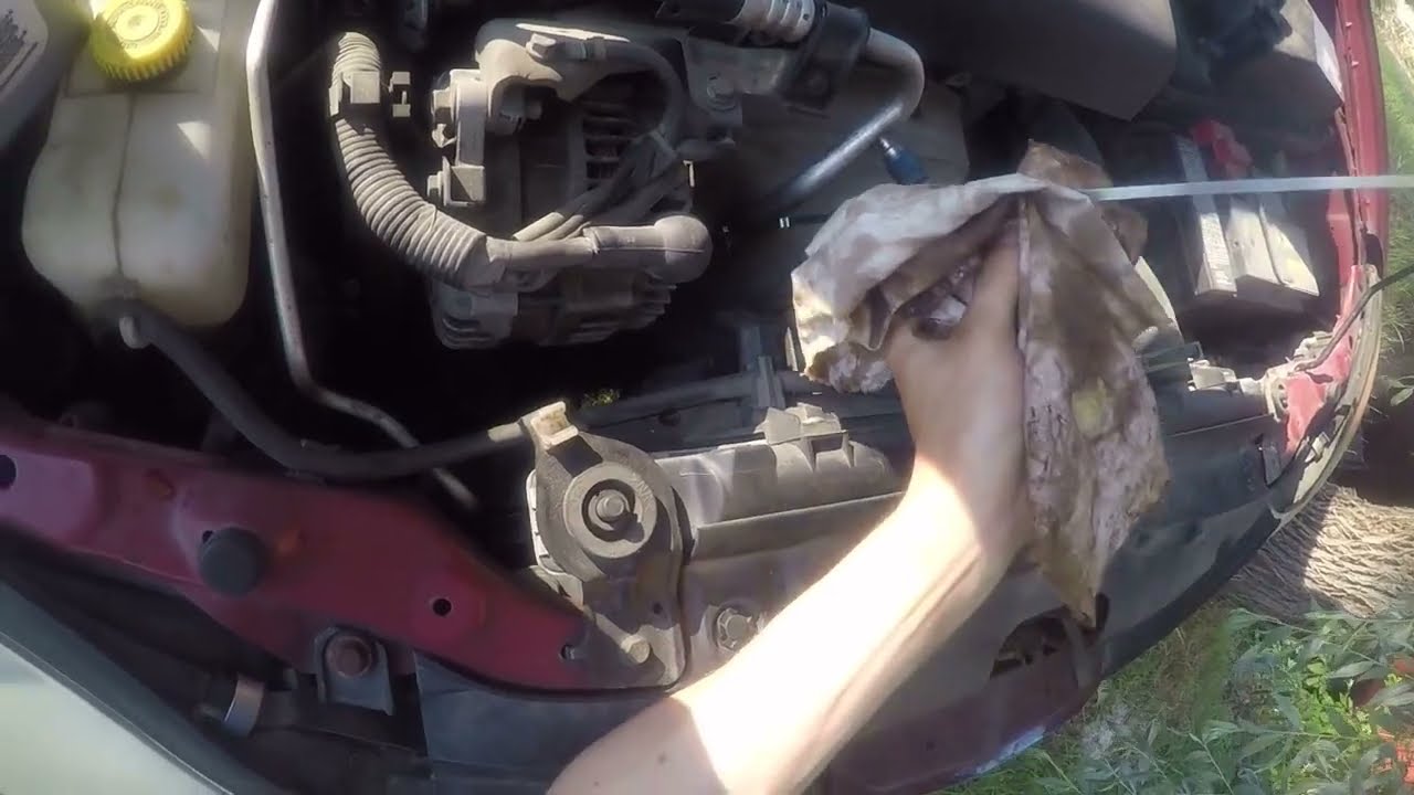 Nissan Primera P12 2.0 oil & oil filter change