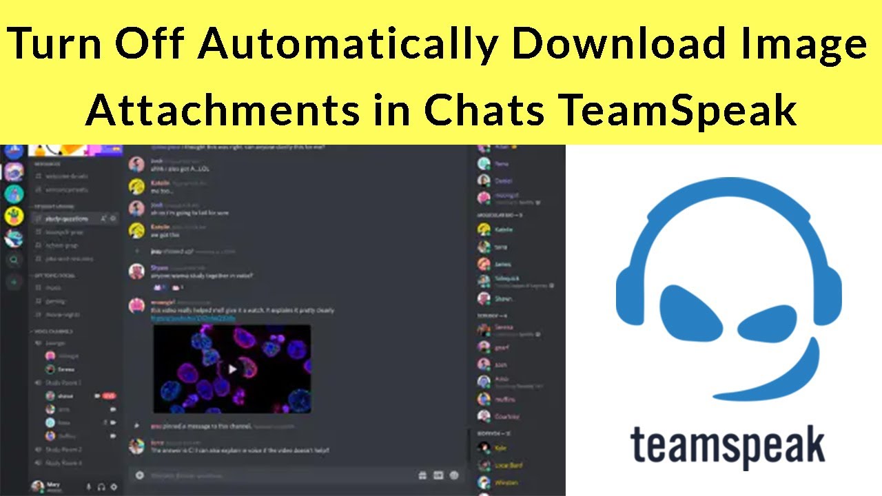 How to Turn Off Automatically Download Image Attachments in Chats TeamSpeak?