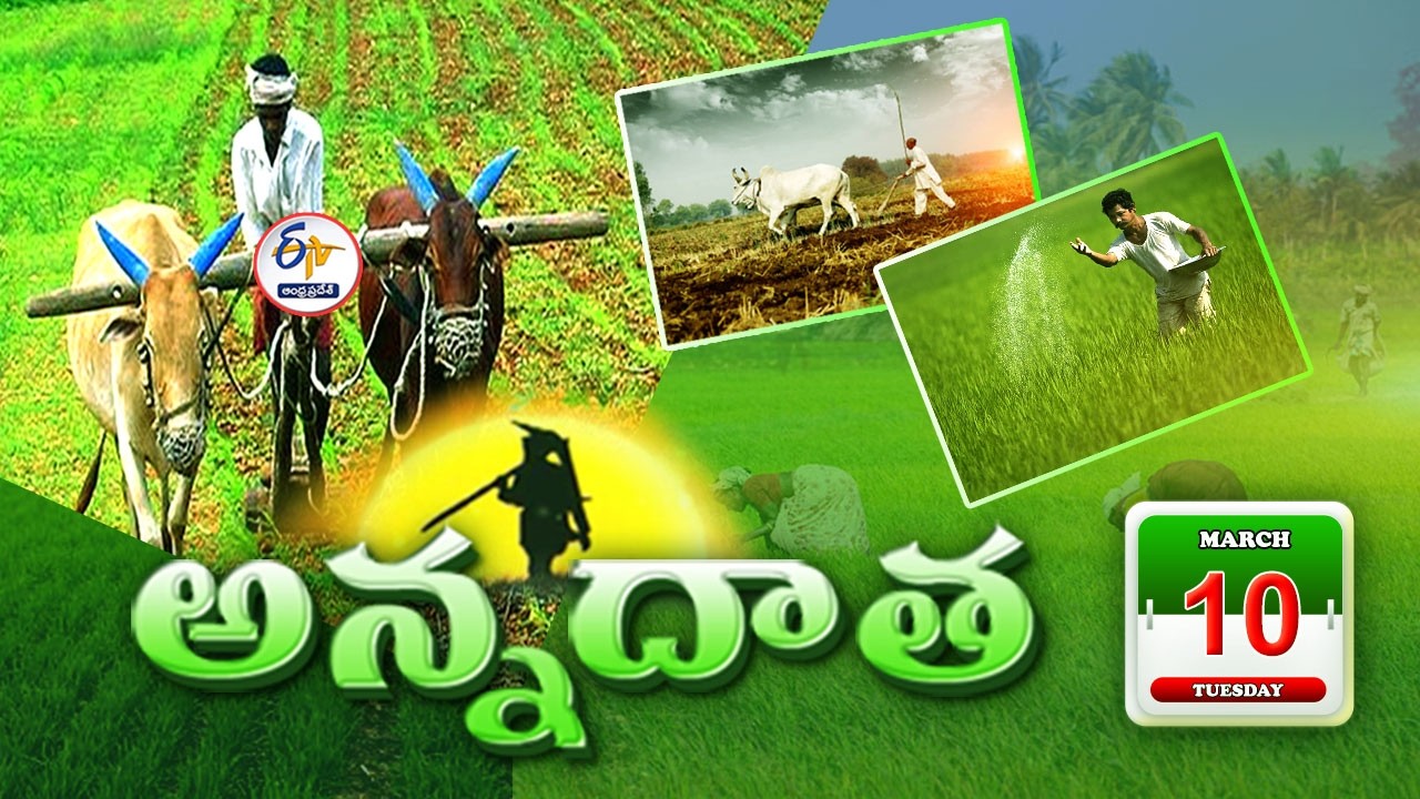అన్నదాత  |  10th March 