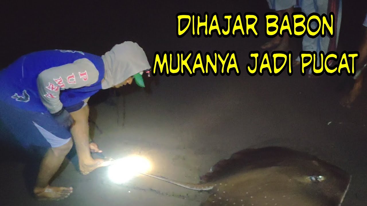 Dihajar Babon Gantian Sampai 3 Orang - Mancing Pinggiran