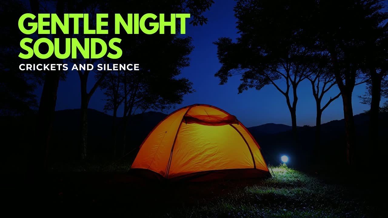 Gentle Night Sounds – Crickets and Silence
