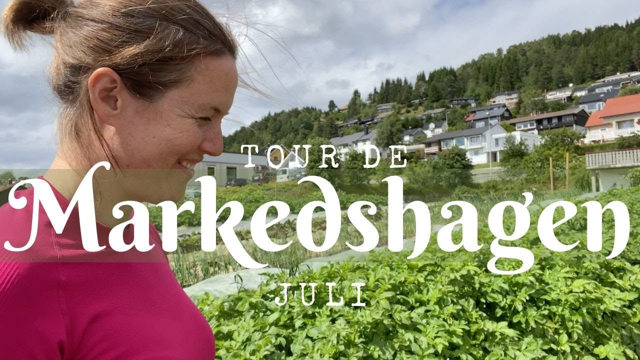 Tour de markedshagen | Juli