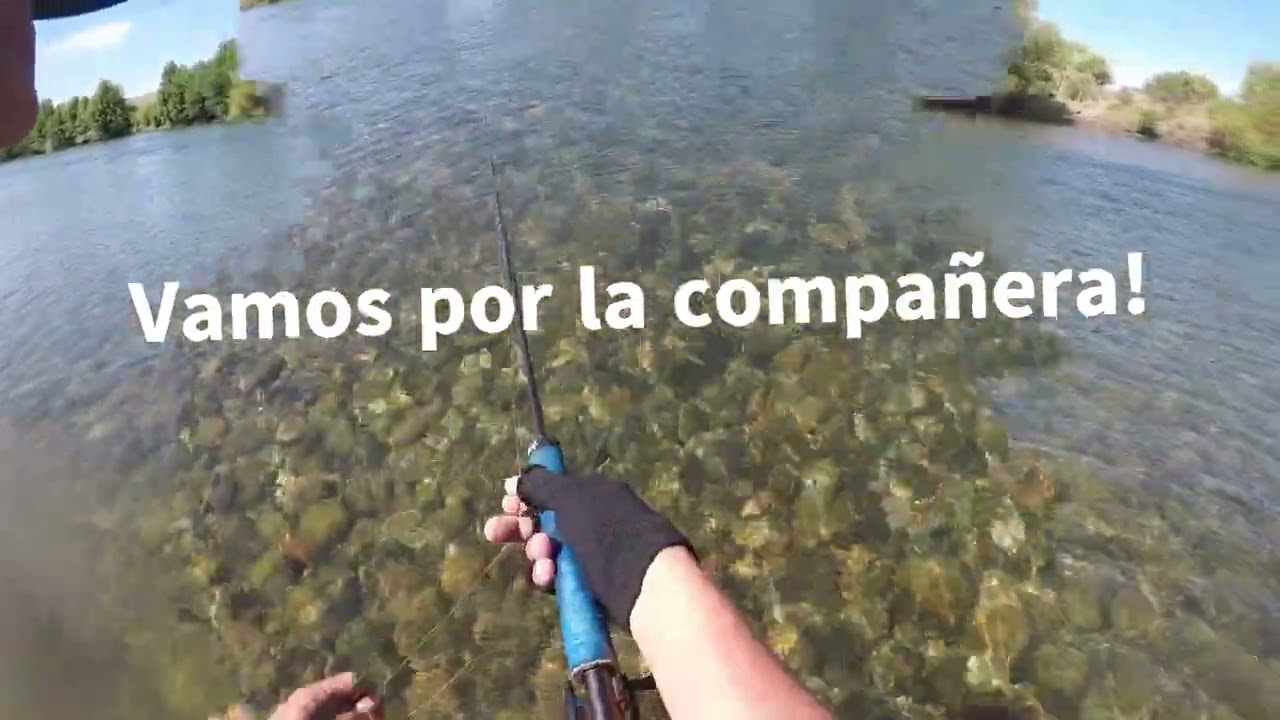 Arcoiris Cazadoras Limay Medio