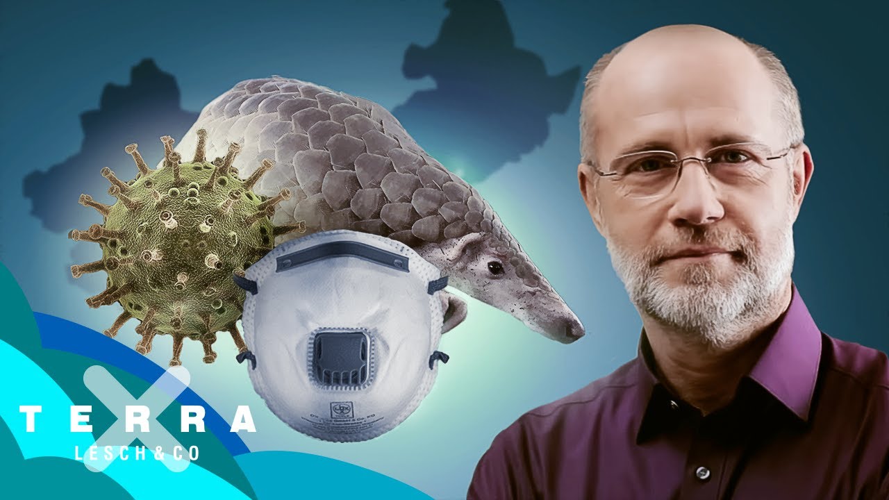 Corona: Was weiß die Wissenschaft? | Harald Lesch | Leschs Kosmos [Ganze Doku]