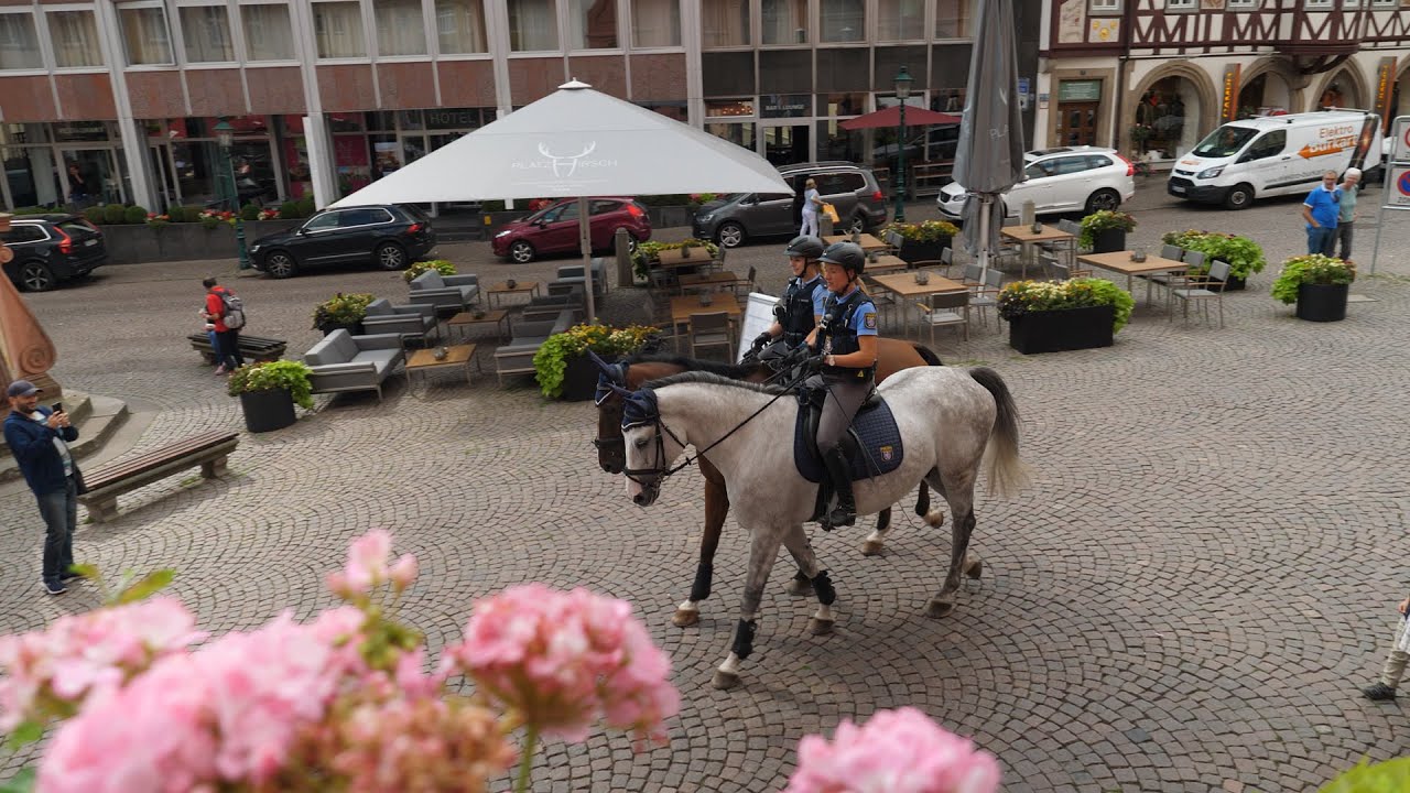 Auf STREIFE mit der POLIZEI REITERSTAFFEL in FULDA