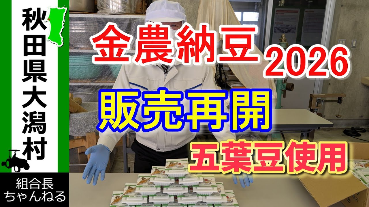 【金農納豆　2026】金足農業の金農納豆製造第2弾　好評につき今日から販売開始　秋田五葉豆使用　マメマメしい納豆です