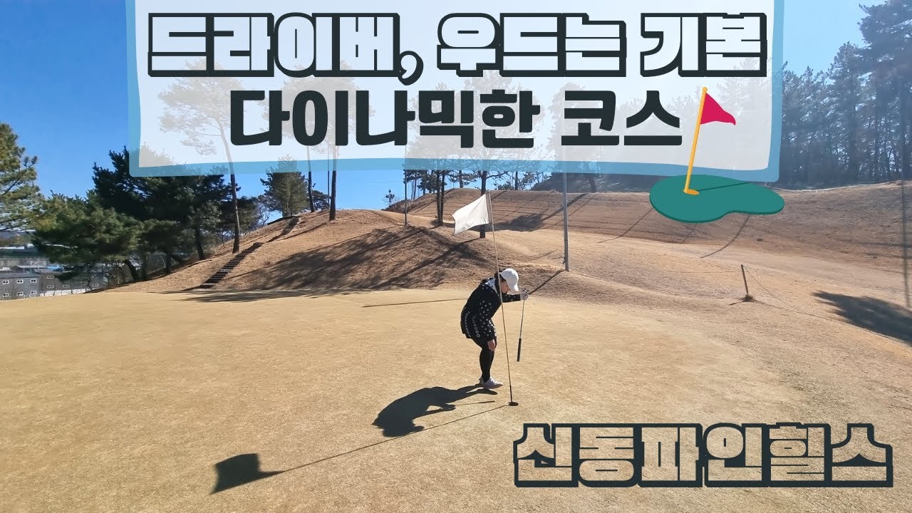 대구근교 파3 관리도 잘되고, 드라이버 우드까지 다 잡는곳 신동파인힐스 골프클럽