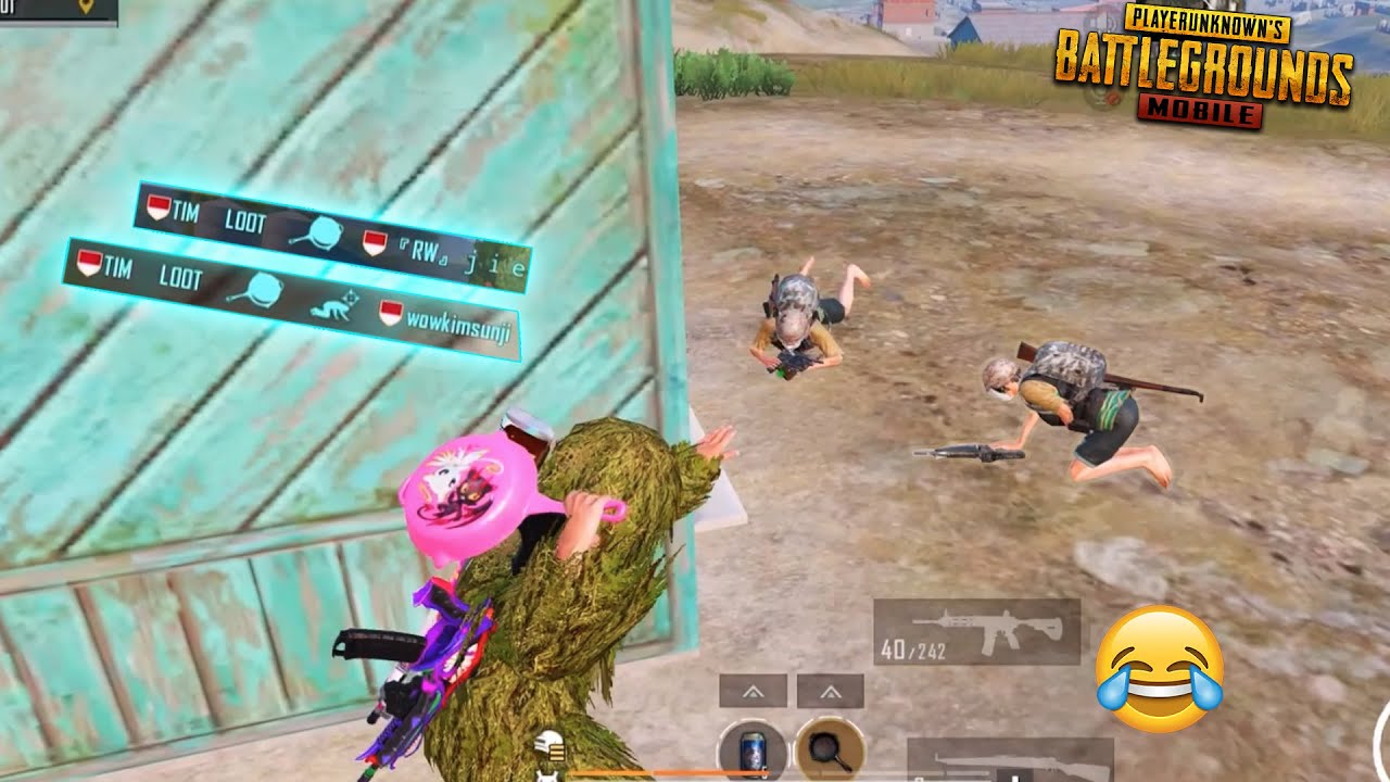 New Best Trolling of Cute Noobs 😂😂 Pubg Funny Moments