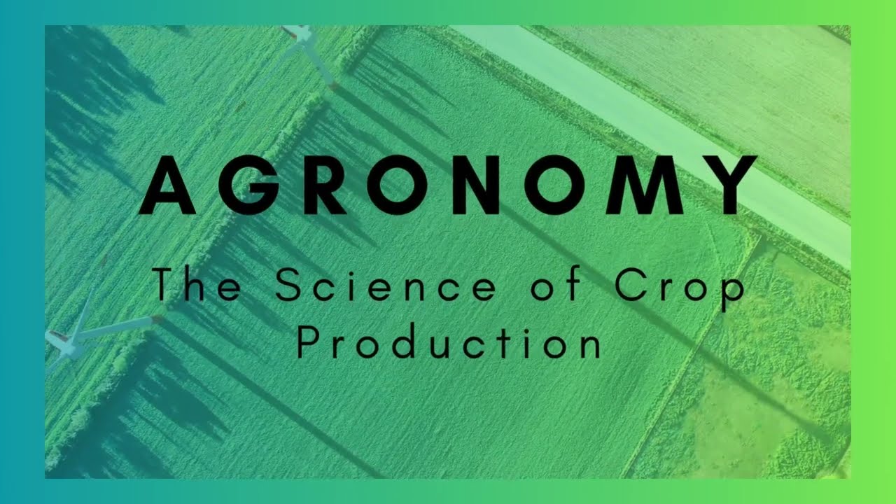 Agronomy | The Science of Crop Production | #agronomy #agro #agriculture #shortvideo