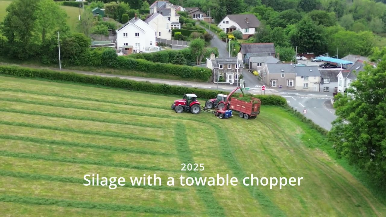 Double Trouble: Massey Fergusons Tearing Through the Silage!