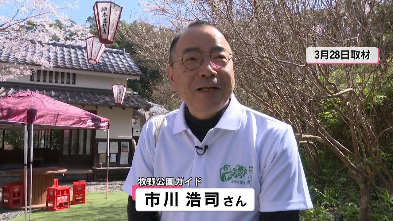 花を愛して「牧野公園」ガイド 市川浩司さん 高知県佐川町