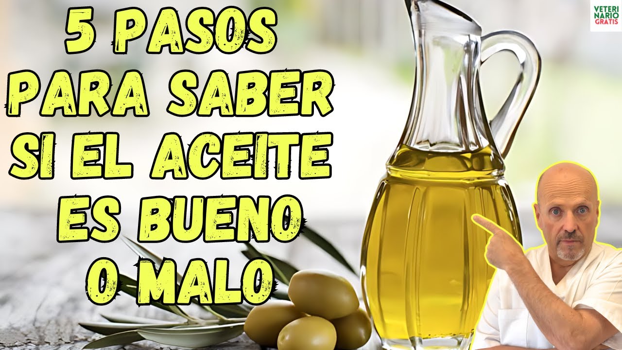 ⚠️ 5 PASOS PARA SABER SI UN ACEITE DE OLIVA ES BUENO O MALO ⚠️