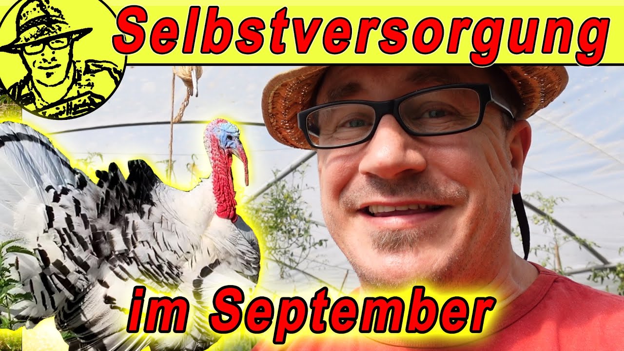 Gartenrundgang im September 2020 - mit Hühnern, Puten, Hochbeeten, Katze Luzi und Pflanzenrätsel