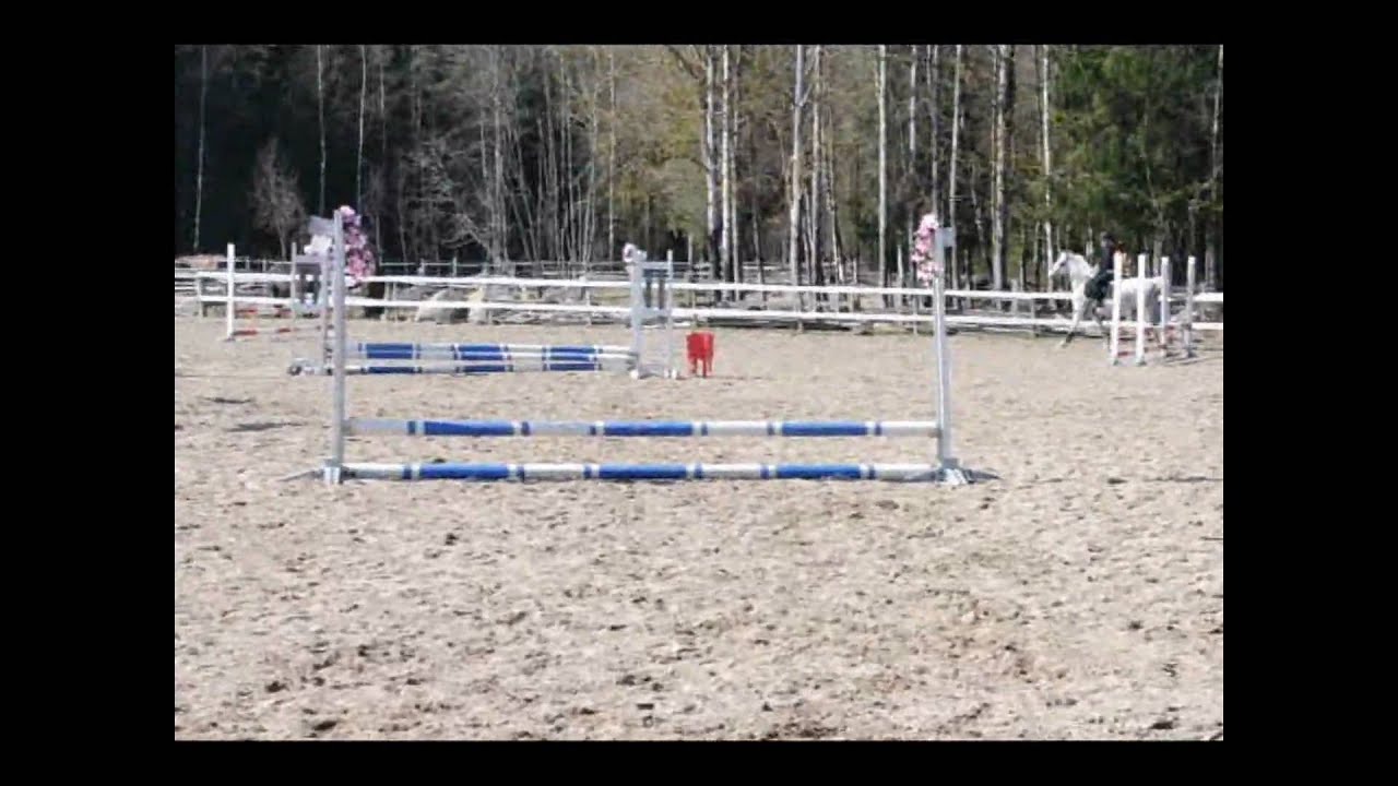 Hoppt&auml;vling vid Nurk 40/50 cm
