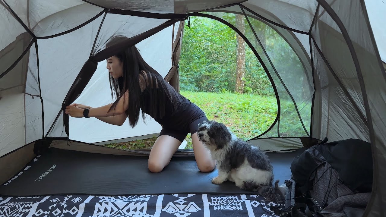 Camping with My Dog in the Rain 🌧 Cozy Forest Night