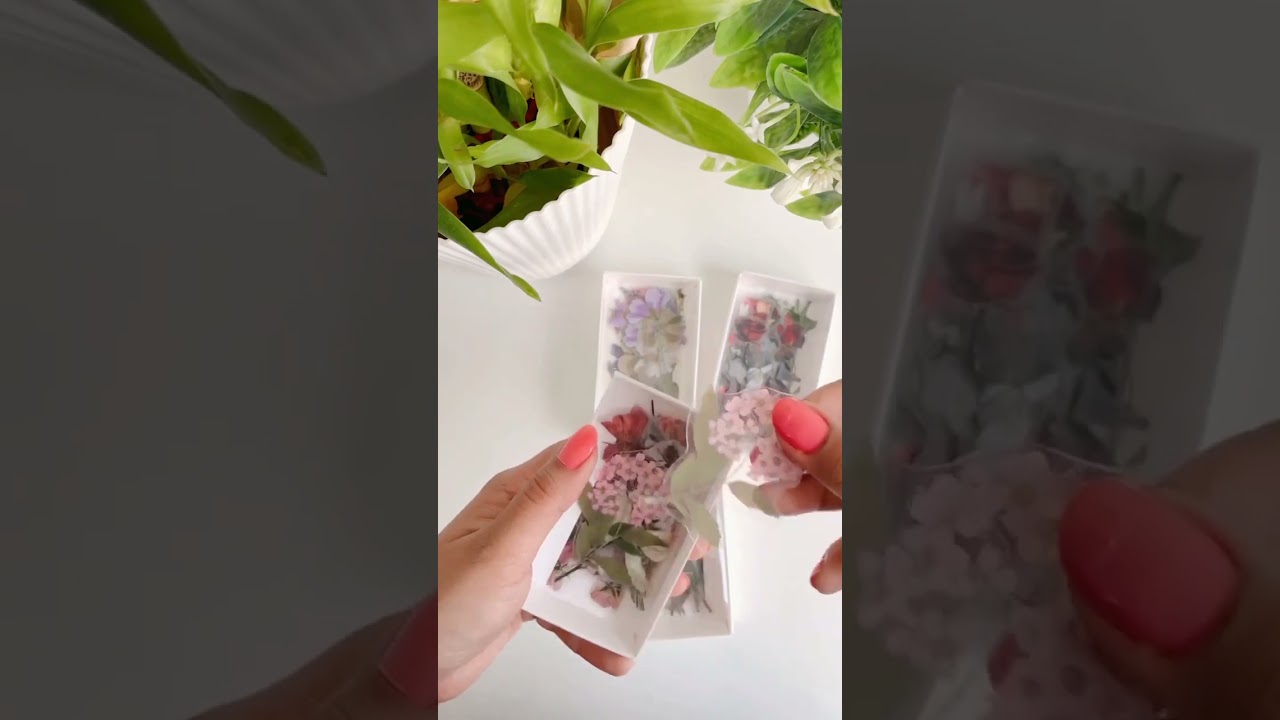 Vintage Boxed Floral Series clear Stickers #aesthetic #bullet #journal #floral #design #kawaii