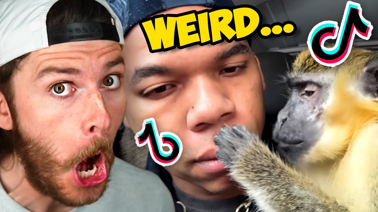 Showing My Son Tiktok