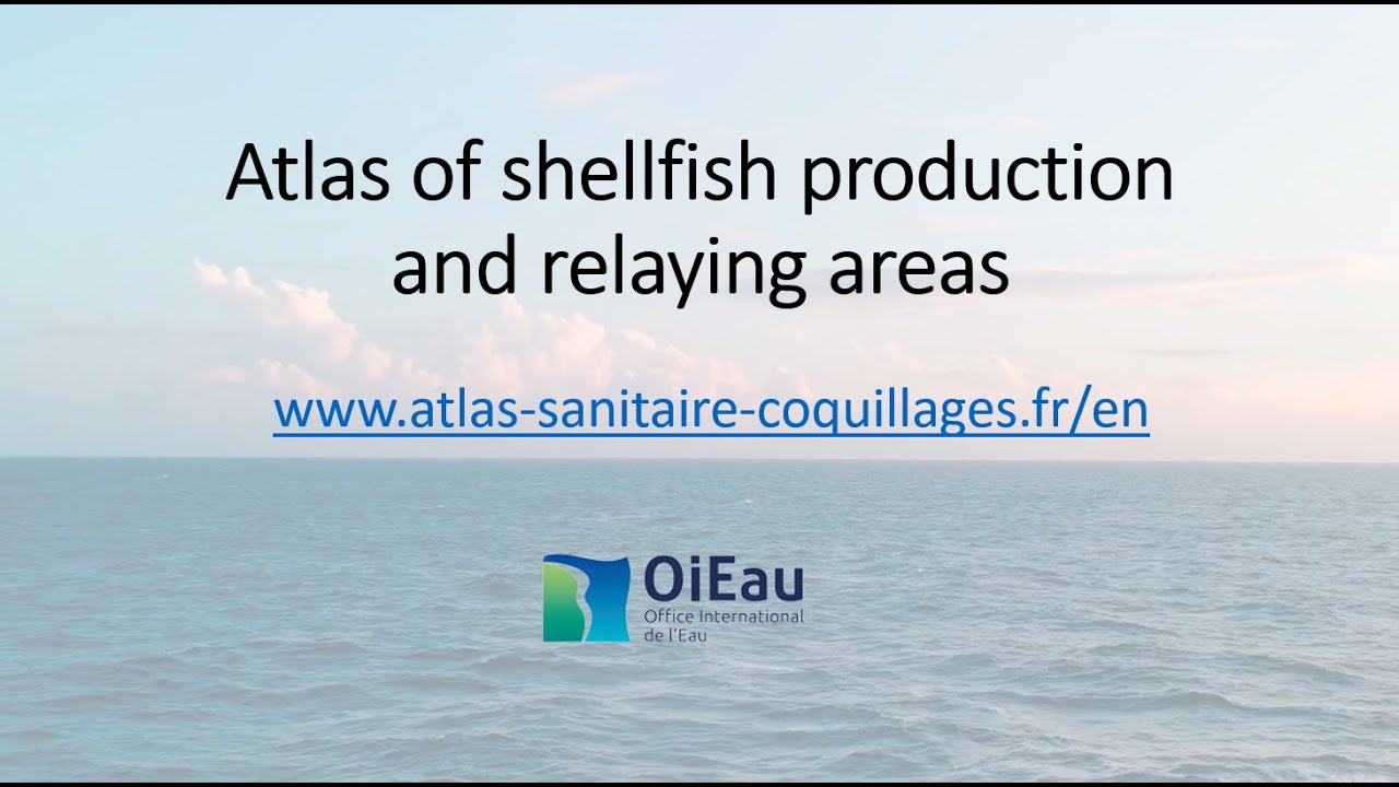 Presentation of the Atlas of shellfish production and relaying areas (English version)