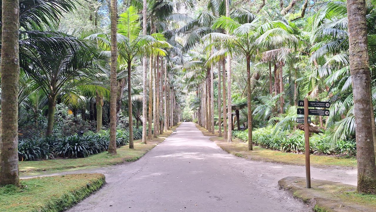 AZORES - SAO MIGUEL - TERRA NOSTRA PARK 2/2