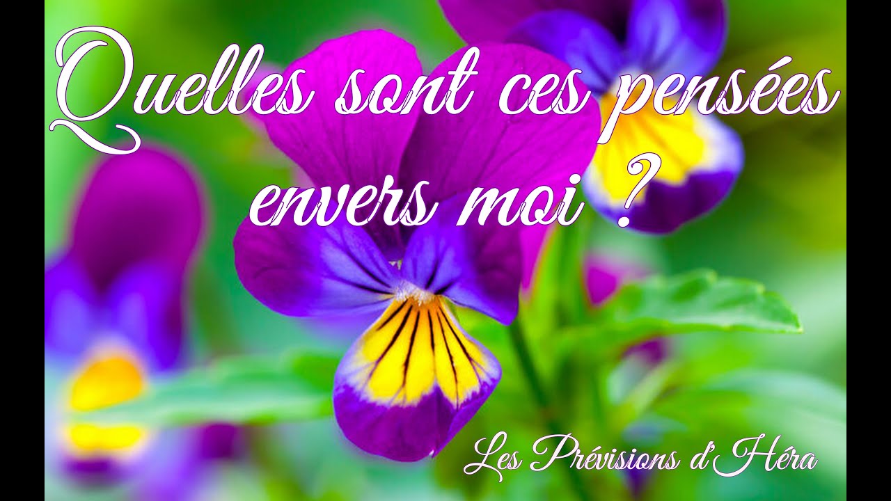 🌺Quelles sont ses pensées envers moi ? 🌺 Question Intemporelle #18